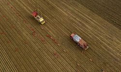 Tarım Üretici Fiyatları Açıklandı: T-ÜFE Yıllık ve Aylık Arttı