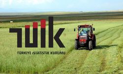 Tarımsal Girdi Fiyatlarında Artış Devam Ediyor