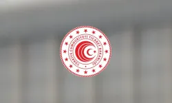 Dış Ticarette Usulsüzlük Yapan Firmalara 13,6 Milyar Lira Ceza