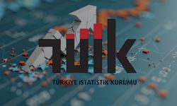 TÜİK Ocak Ayı Güven Endeksi Verilerini Yayımladı