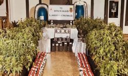 Türkiye Genelinde Narkotik Operasyonu: 177 Şüpheli Tutuklandı