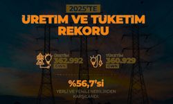 Türkiye’de Elektrik Üretim ve Tüketim Rekor Seviyeye Ulaştı