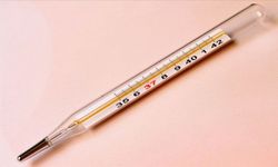 Vücudun Dayanabileceği Maksimum Sıcaklık Nedir? Termal Sınır