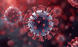 3 Günlük Açlık Bağışıklığı Sıfırlayabilir mi?