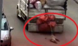 Ankara'da Kamyonete Bağladığı Köpeğe İşkence Eden Sürücüye Gözaltı