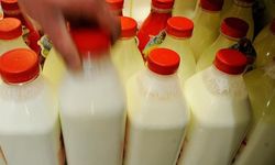 Ayran ve Kefir Üretiminde 1 Milyon Ton Eşiği Aşıldı