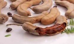 Demirhindi Nedir, Nasıl Tüketilir? Osmanlı'nın Gizli İksiri Gündemde