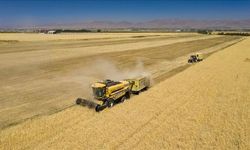 Deprem Bölgesindeki Yatırımcılara TKDK’den 3,1 Milyar TL'lik Kaynak