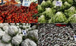 Dikmen Semt Pazarı'nda Vatandaşın Gözü Tezgahta (11 Şubat 2026)