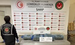 Gümrüklerde 85 Bin Canlı Hayvan Kaçakçıların Elinden Kurtarıldı