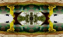 Netflix, Prime Video, Disney+ ve HBO Max’te Haftanın Kazananları