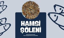 Kalecik’te Hamsi Şöleni Başlıyor: Tüm Halkımız Davetli