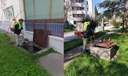 Nallıhan Belediyesi’nden Çayırhan’da İlaçlama Çalışması