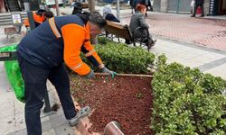 Sakarya Caddesi Yeşil Dokunuşlarla Renklendirildi