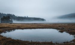 Sisten Su Elde Etmek Mümkün mü? Kuraklığa Doğal Çözüm
