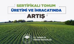 Türkiye’nin Tohum İhracatı 2025’te 368 Milyon Dolar Oldu