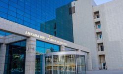 ABB’den Hayvancılığa Büyük Destek, 40 Bin Adet Buzağı Yemi Alınacak