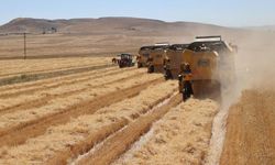 Ankara'da Çiftçiye Bayram Müjdesi: 82 Milyon TL’lik Mazot Desteği Hesaplarda