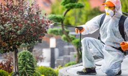 Beypazarı, Yaz Dönemi Öncesi Haşerelere Karşı Teyakkuzda