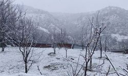 Beypazarı'nda Kar Yağışı Hangi Mahallelerde Etkili Oldu?