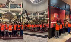 Çankaya’da Minik Kaşifler MTA Tabiat Tarihi Müzesi’nde