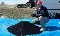 Beypazarı’nda Çiftçiler Çörek Otu Ekimine Başladı