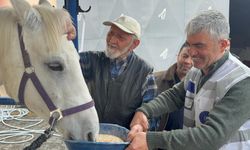 Çubuk’ta Huzurevi Sakinlerine Atlı Terapi Sürprizi