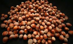 Fındık İhracatından 2 Ayda 388 Milyon Dolarlık Gelir