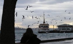 Meteoroloji Müjdeyi Verdi: Hafta Boyunca Güneş Yüzünü Gösterecek