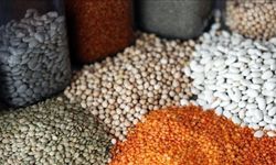 Güneydoğu Anadolu'dan 2 Ayda 552,8 Milyon Dolarlık Gıda İhracatı