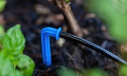 Kalecikli Üreticiye Yüzde 50 Hibeli Damla Sulama Borusu Desteği