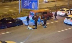 Sokak Köpekleri Ankara'da Zincirleme Kazaya Neden Oldu