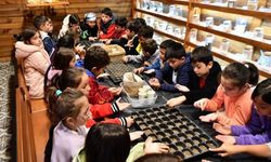 Mamak Belediyesinden Çocuklara Sürdürülebilir Tarım Eğitimi