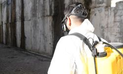 Mamak Belediyesinden İlçe Genelinde Kapsamlı İlaçlama Çalışması