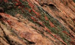 Nadir Toprak Elementleri Nedir?