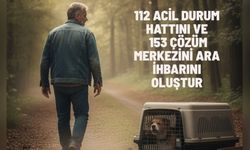 Nallıhan Belediyesi’nden Sokak Hayvanları için Sahiplenme Çağrısı