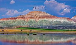 Kuş Gözlemciliğinin Ankara'daki Adresi Nallıhan Kuş Cenneti