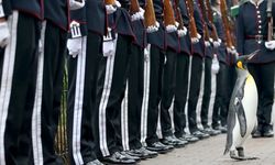 Tarihin En Ünlü Hayvanları ve Şaşırtıcı Görevleri