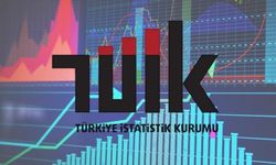 TÜİK 2024 Yılı Yabancı Kontrollü Girişim Rakamlarını Açıkladı