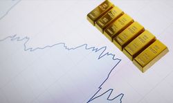 Altın ve Mevduat Faizi Yatırımcıya Reel Getiri Sağladı