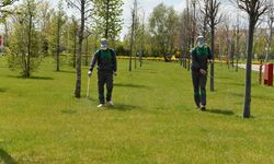 Ankara’da Haşere Mesaisi Başladı: 190 Personel ve 57 Araç Sahaya İndi