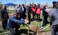 AYBÜ Kampüsüne "Bal Ormanı" Oluşturuluyor, 2 Bin Fidan Toprakla Buluştu