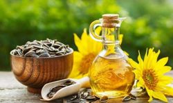 Ayçiçeği ve Fındık Yağı Standartları Güncellendi
