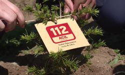 Ankara’da Ayla Öğretmen ile Öğrencilerin Adı 112 Ormanında Yaşayacak