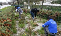 Mamak Belediyesi İlçe Genelinde Bahar Bakımı Çalışmalarını Hızlandırdı
