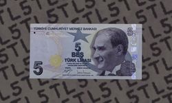 Banknotlarda Gözden Kaçan Güvenlik Sırrı: Mikro Yazılar