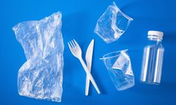 Biyoplastik Nedir? Plastik Kullanımında Yeni Dönem