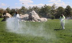 Çankaya’da Yüzlerce Noktada İlaçlama Çalışması Sürüyor