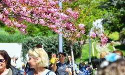 Dikmen Vadisi’nde Pembe Bahar: Başkentli Kadınlar Sakura Altında Buluştu