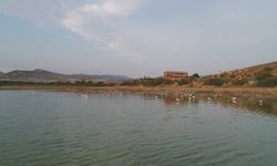 DSİ Nallıhan Çayı için Çevre Islah Projesi Başlattı